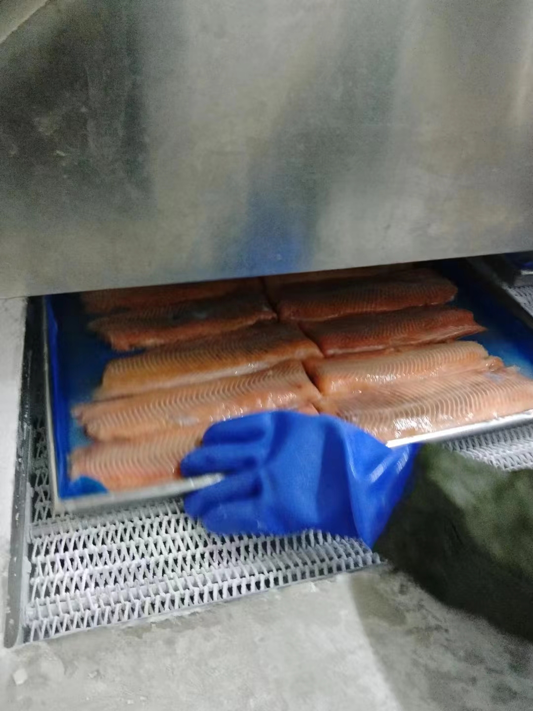 某客戶(hù)速凍三文魚(yú)現(xiàn)場(chǎng)